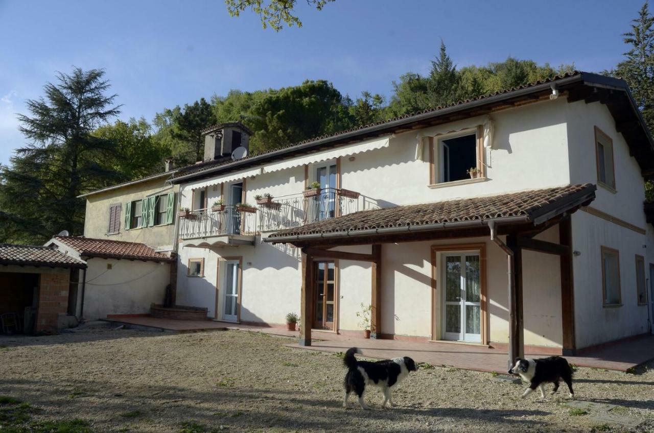 Rifugio Nel Bosco Bed & Breakfast Риети Екстериор снимка